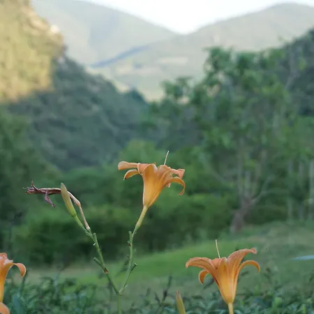 Elementaris, Tra E La Cascata Delle Marmore * Σπολέτο